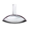 Calvin Klein Euphoria EDP 100ml for Women