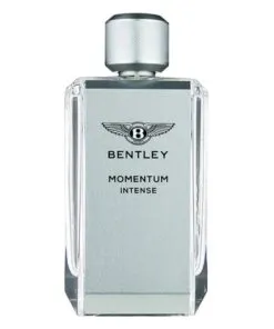 Bentley Momemtum Intense EDT 100ml for Men