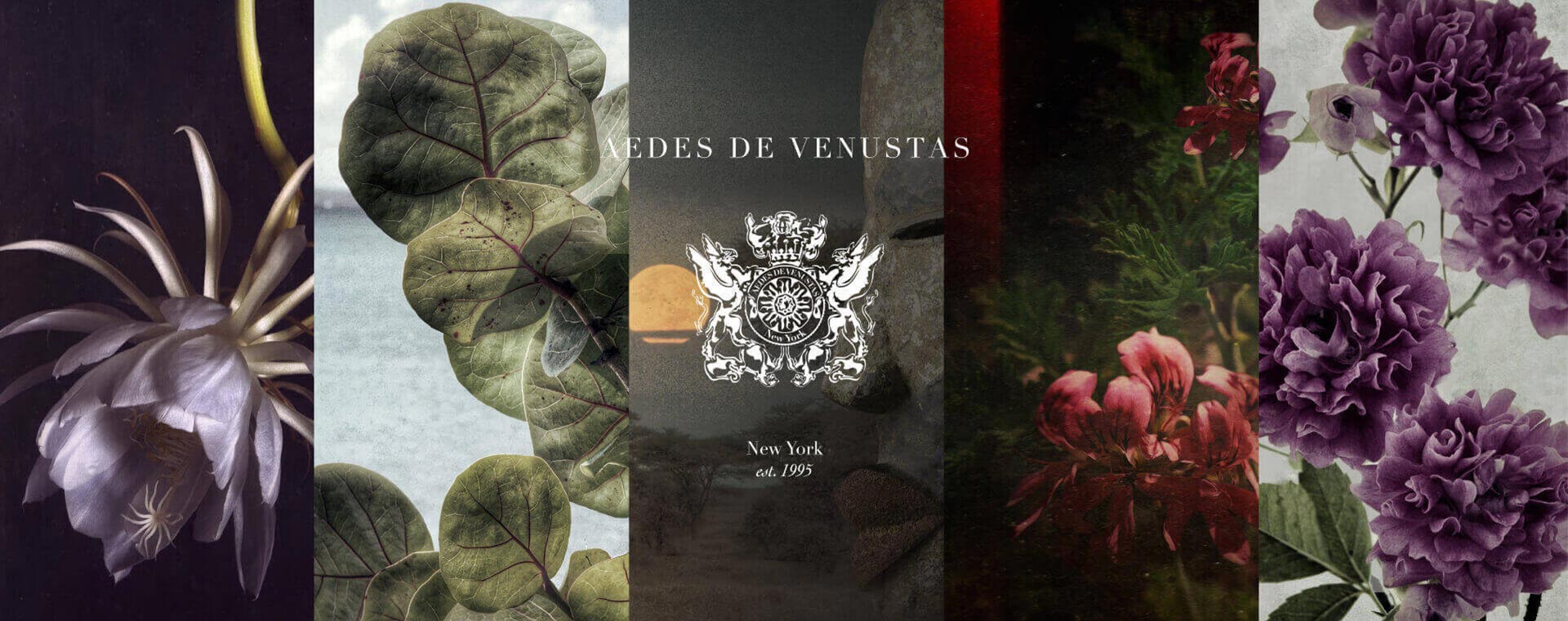 banner Aedes De Venustas