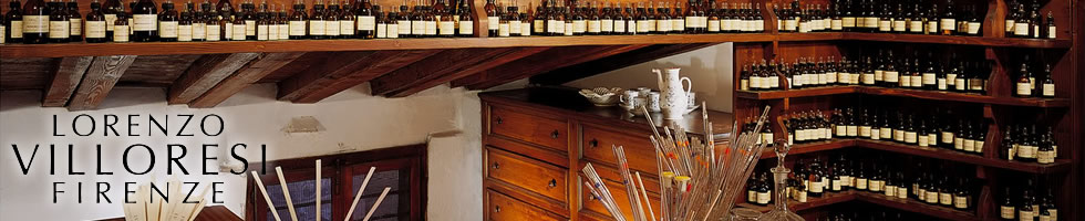 lorenzovilloresi