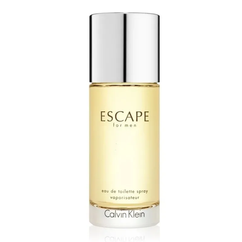 Calvin Klein Escape EDT 100ml for Men