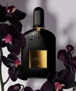The Fragrance Oil inspiration of  Concentrated Premium Perfume oil 1ml vial sample (Copy)