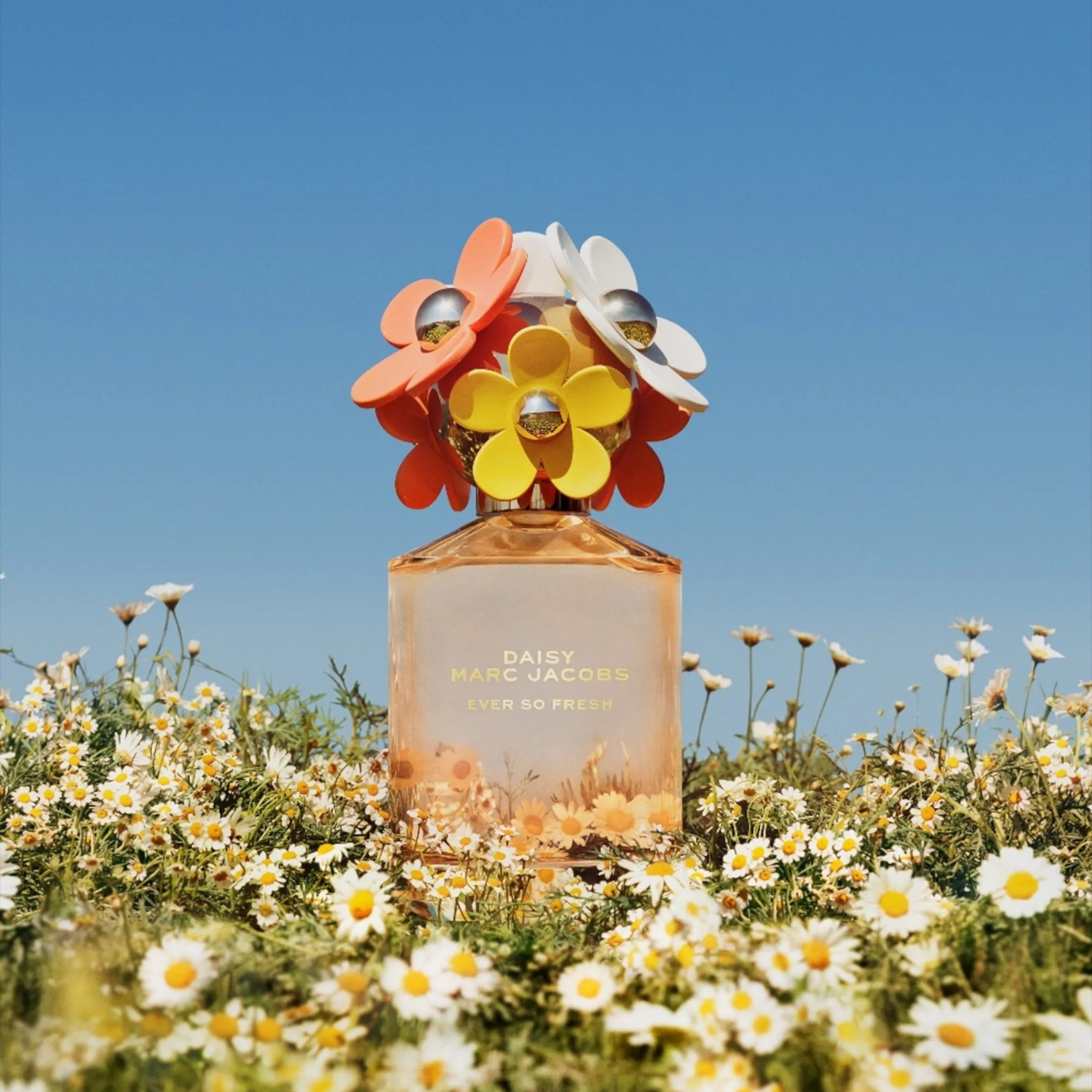 The Fragrance Oil inspiration of Concentrated Premium Perfume oil 1ml vial sample (Copy)
