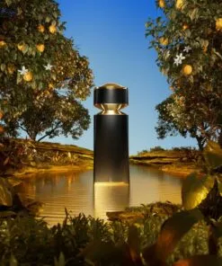 The Fragrance oil inspiration of Creed Aventus 5ml oil dropper bottle (Copy)