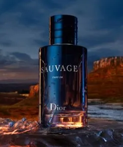 The Fragrance oil inspiration of 5ml oil dropper bottle (Copy)