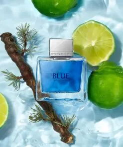 Maison du Parfum inspiration of Antonio Banderas Blue Seduction Men Premium Perfume Oil 50ml