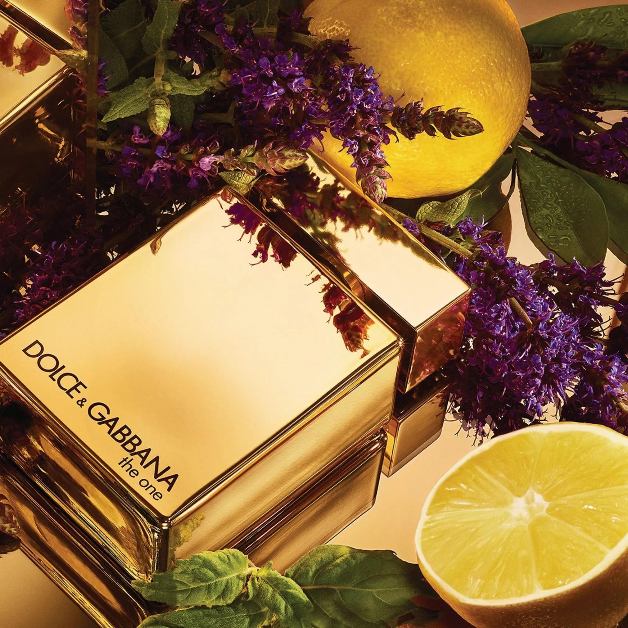 Maison du Parfum inspiration of Paco Rabanne Invictus Legend Premium Perfume Oil 50ml (Copy)