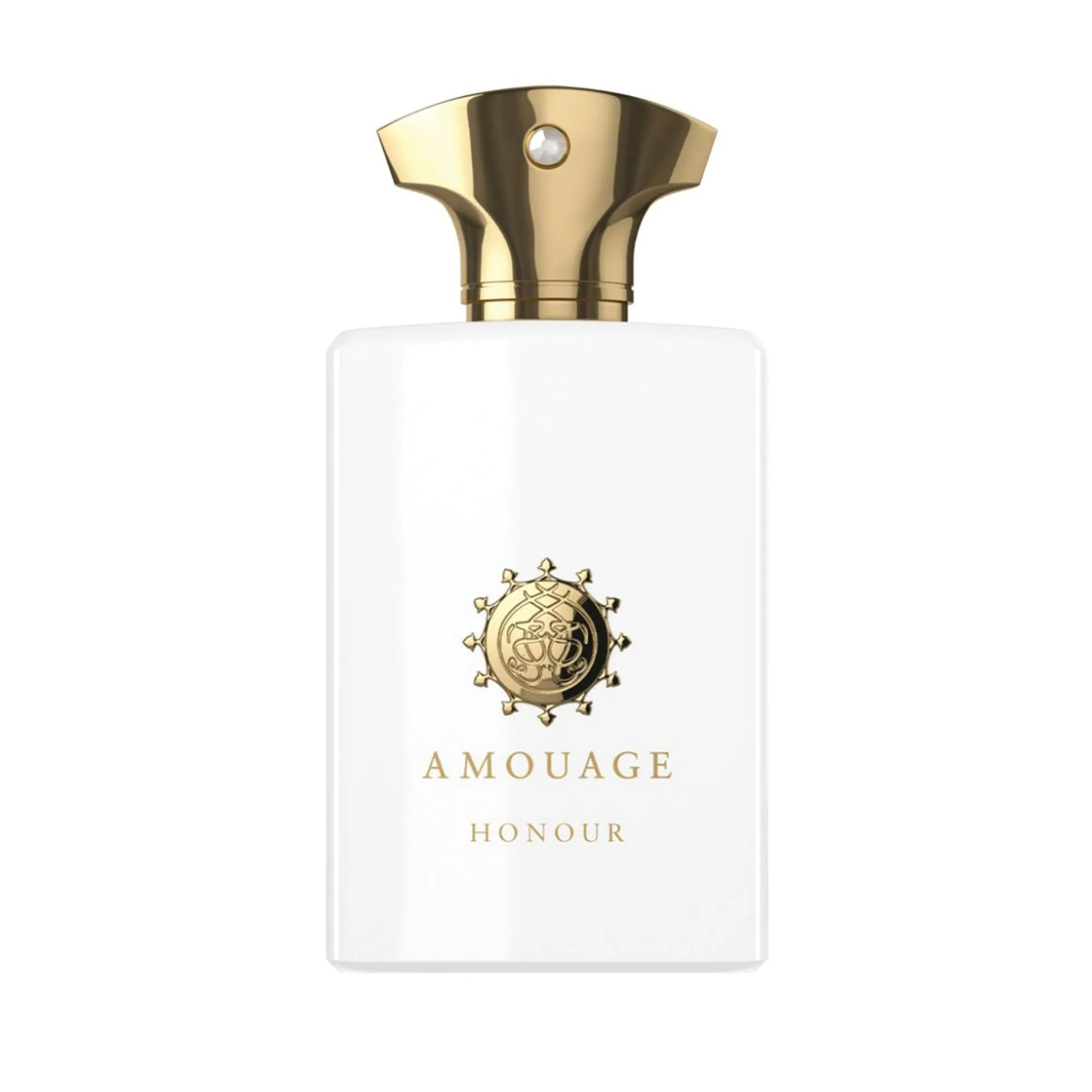 Maison du Parfum inspiration of Amouage Boundless Premium Perfume Oil 50ml (Copy)