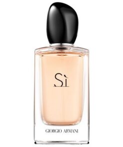 Maison Du Parfum inspiration of Lancome Idole L'Intense 10ml premium perfume oil (Copy)