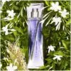 Maison du Parfum inspiration of Bvlgari Omnia Crystalline Premium Perfume Oil 50ml (Copy)