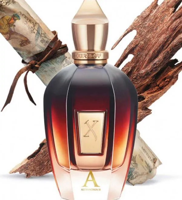 Maison du Parfum inspiration of Xerjoff Torino 21 Premium Perfume Oil 50ml (Copy)